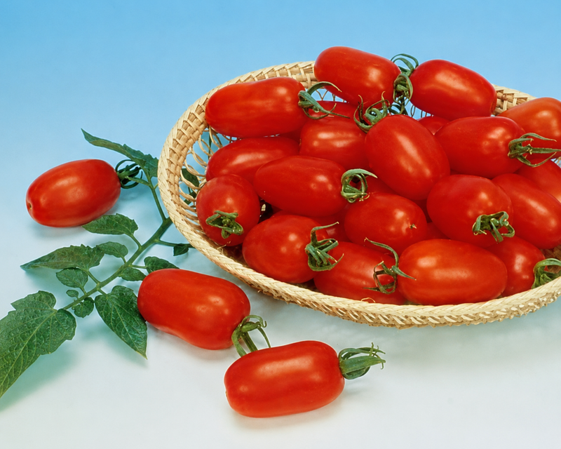 Juliet Hybrid Tomato Seeds