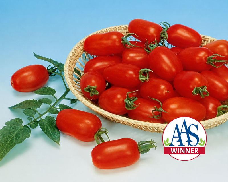 Juliet Hybrid Tomato Seeds