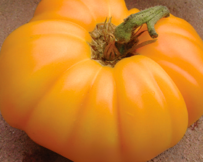 Kellogg's™ Breakfast Tomato Seeds