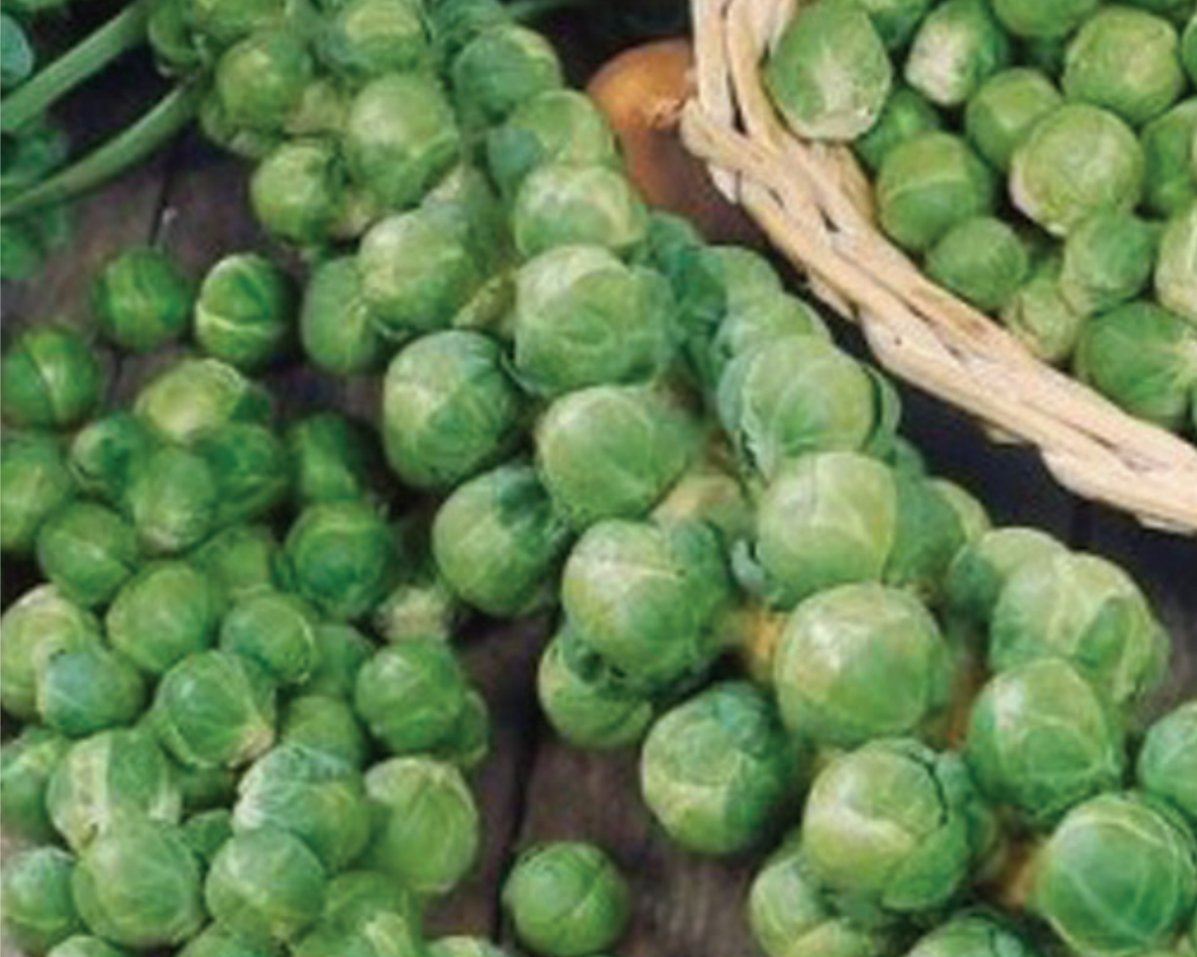 Brussels Sprouts