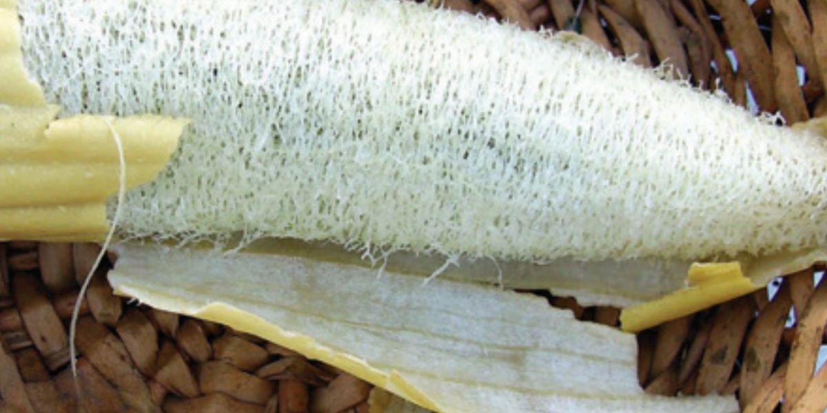 ザラスプーク チャガースプーク luffa_1200x600_crop_center.png