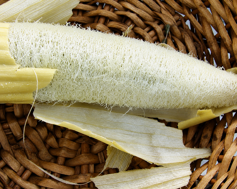 Luffa Sponge Gourd Seeds