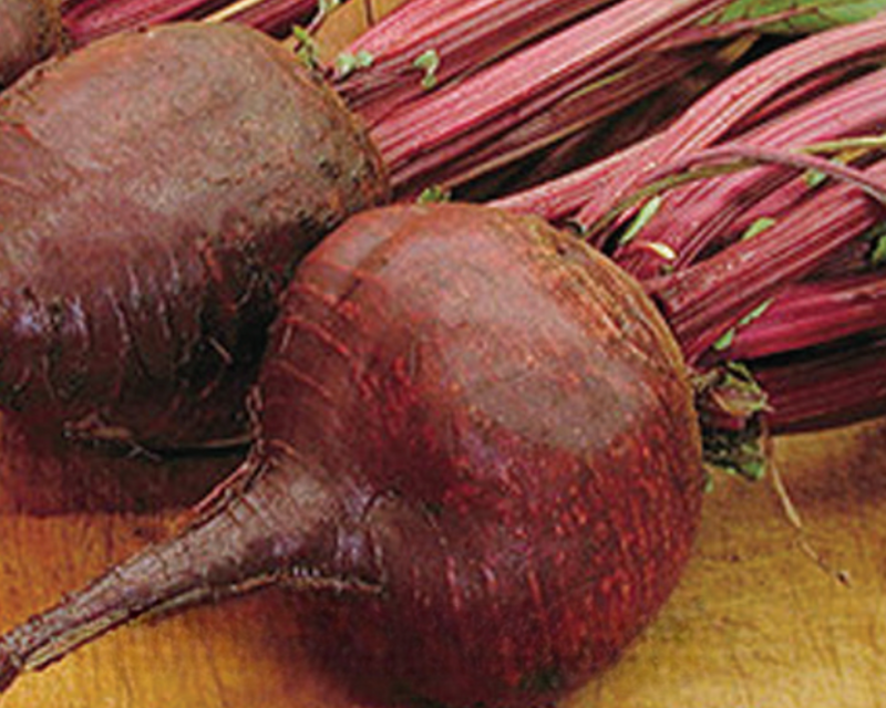 Lutz Green Leaf Beet Seeds