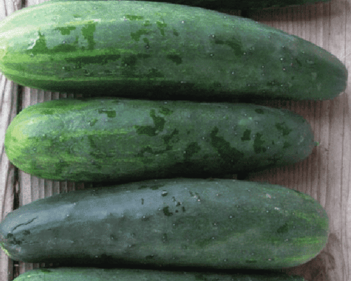 Marketmore 76 Slicing Cucumber Seeds