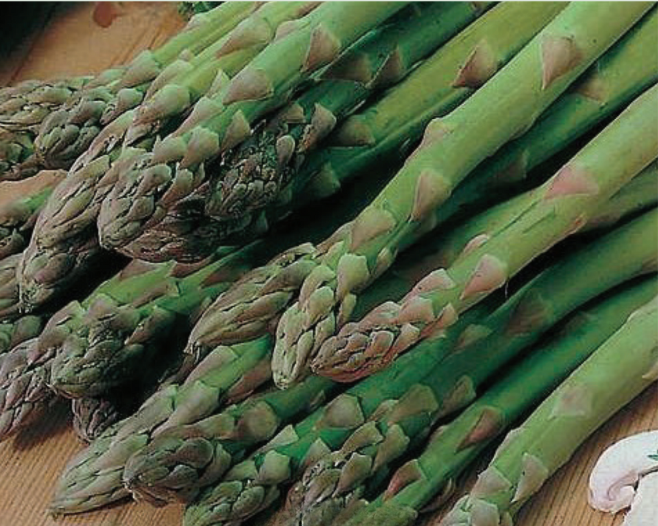 Asparagus