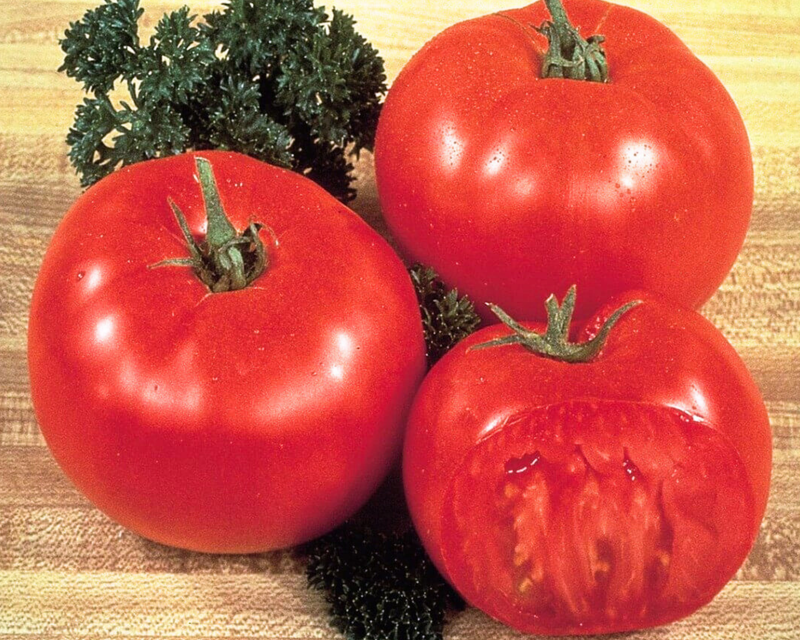 Bulk: Mega Tom Giant Beefsteak Tomato Seeds
