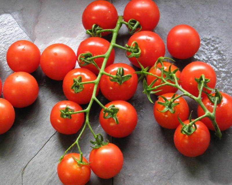 Mountain Magic Hybrid VFFFEbLb Tomato Seeds