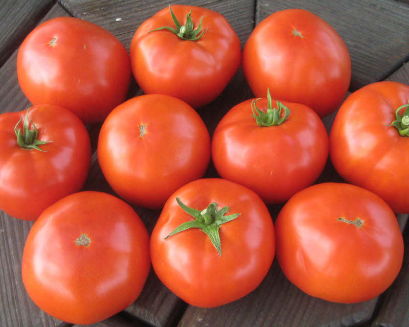Mountain Merit™ Hybrid Slicing VFFFNTswvEbLb Tomato Seeds