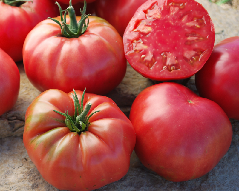 Mrs. Maxwell's Big Italian Heirloom Beefsteak Tomato Seeds