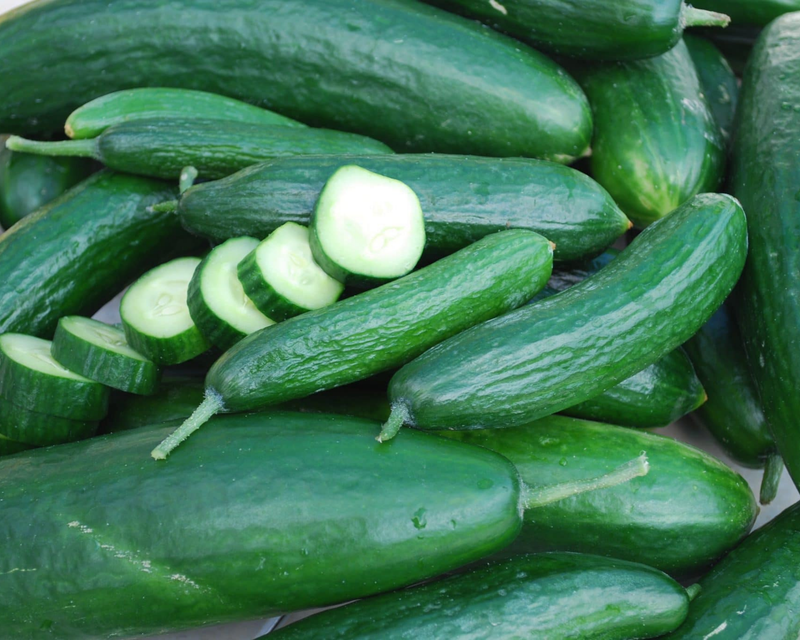 Bulk: Muncher Burpless Cucumber Seeds