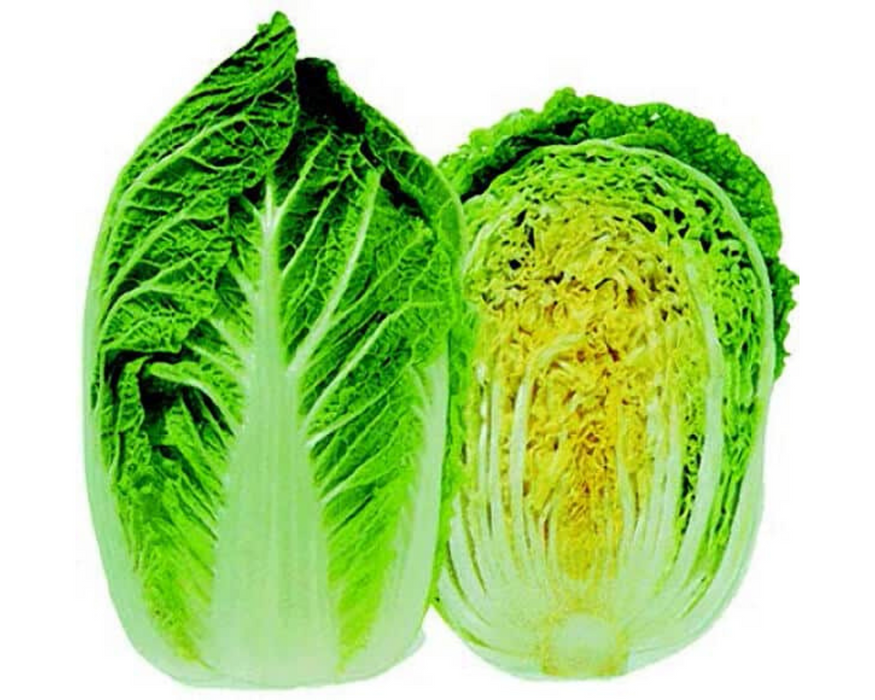 Chinese Napa Cabbage