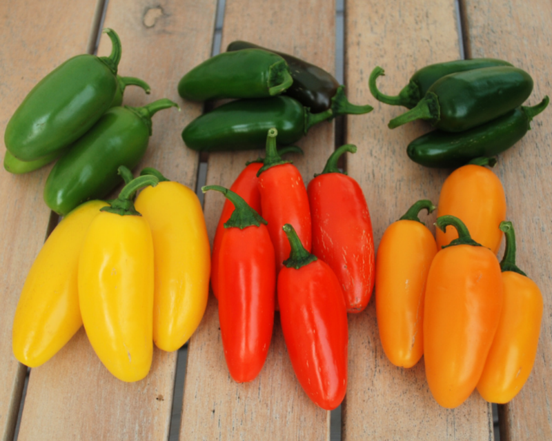 Numex Jalapeno Spice Mix Pepper Seeds