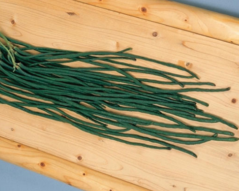 Orient Wonder Pole Bean Seeds