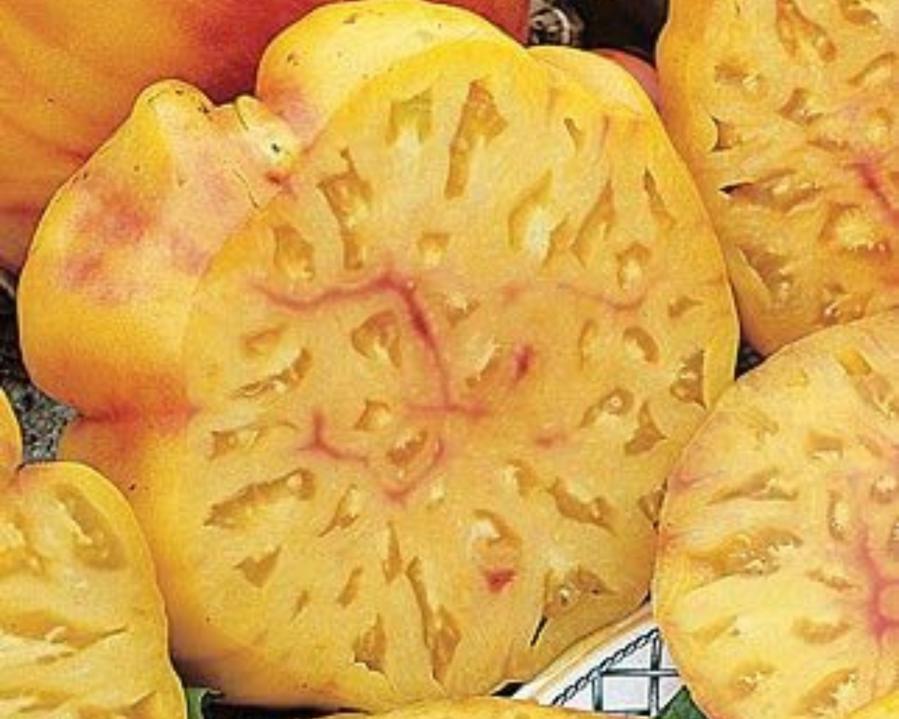 Seeds 'n Such Pineapple Tomato Seeds
