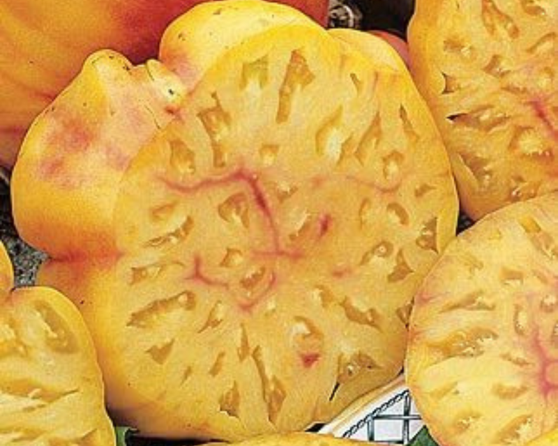 Bulk: Pineapple Tomato Seeds
