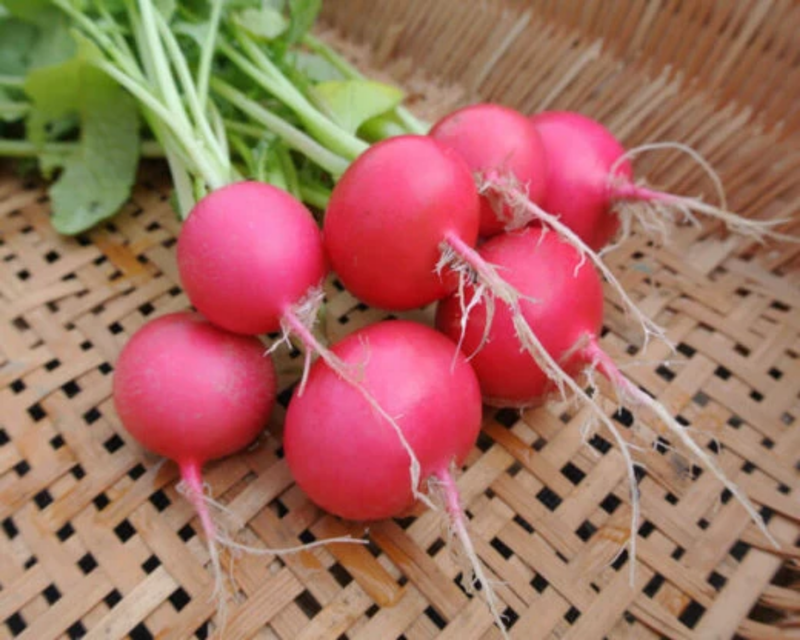 Pink Beauty Radish Seeds