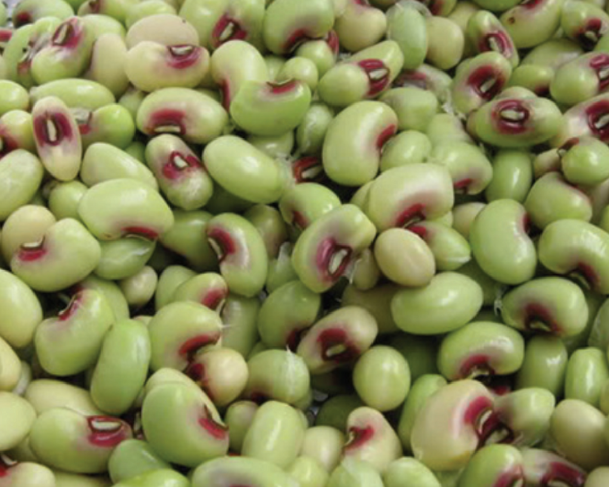 Pinkeye Purple Hull Pea Seeds