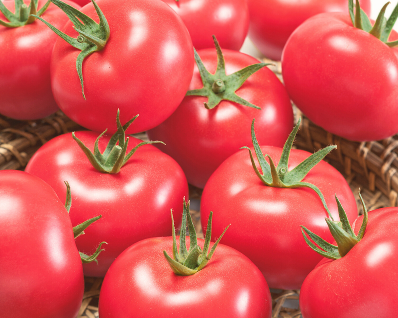 Bulk: Porter Tomato Seeds