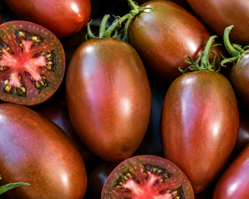 Purple Russian Tomato Seeds