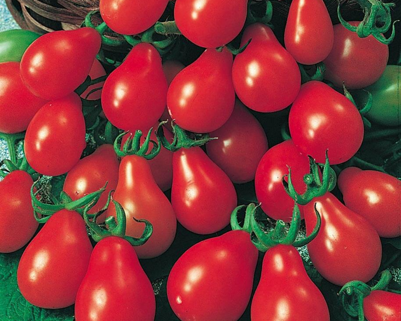 Bulk: Red Pear Tomato Seeds