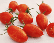 Red Torch Hybrid Tomato Seeds