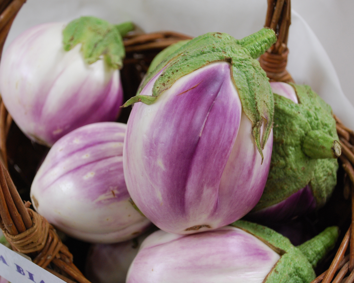 Rosa Bianca Eggplant Seeds