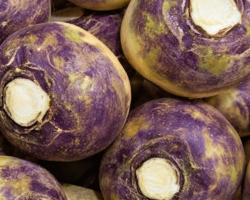 American Purple Top Rutabaga Seeds