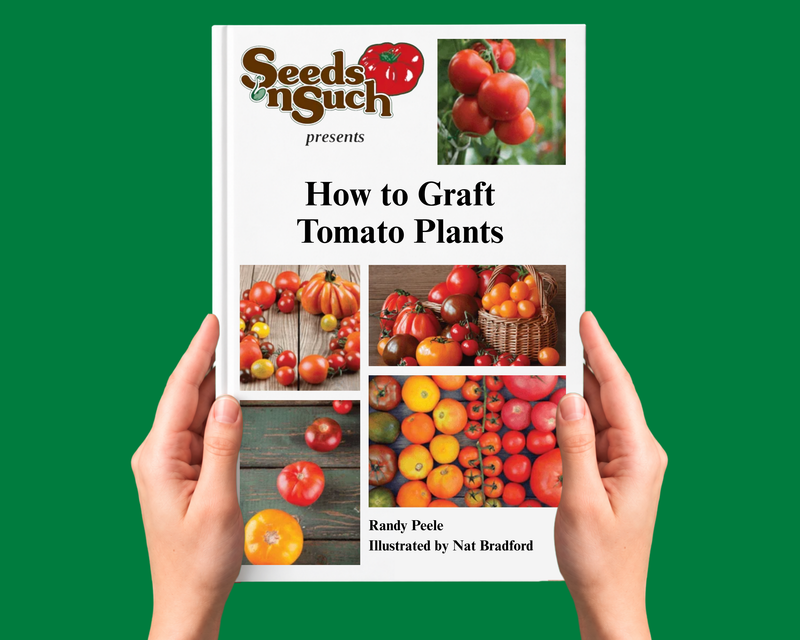 Growing Peppers From Seed - Growing Guide