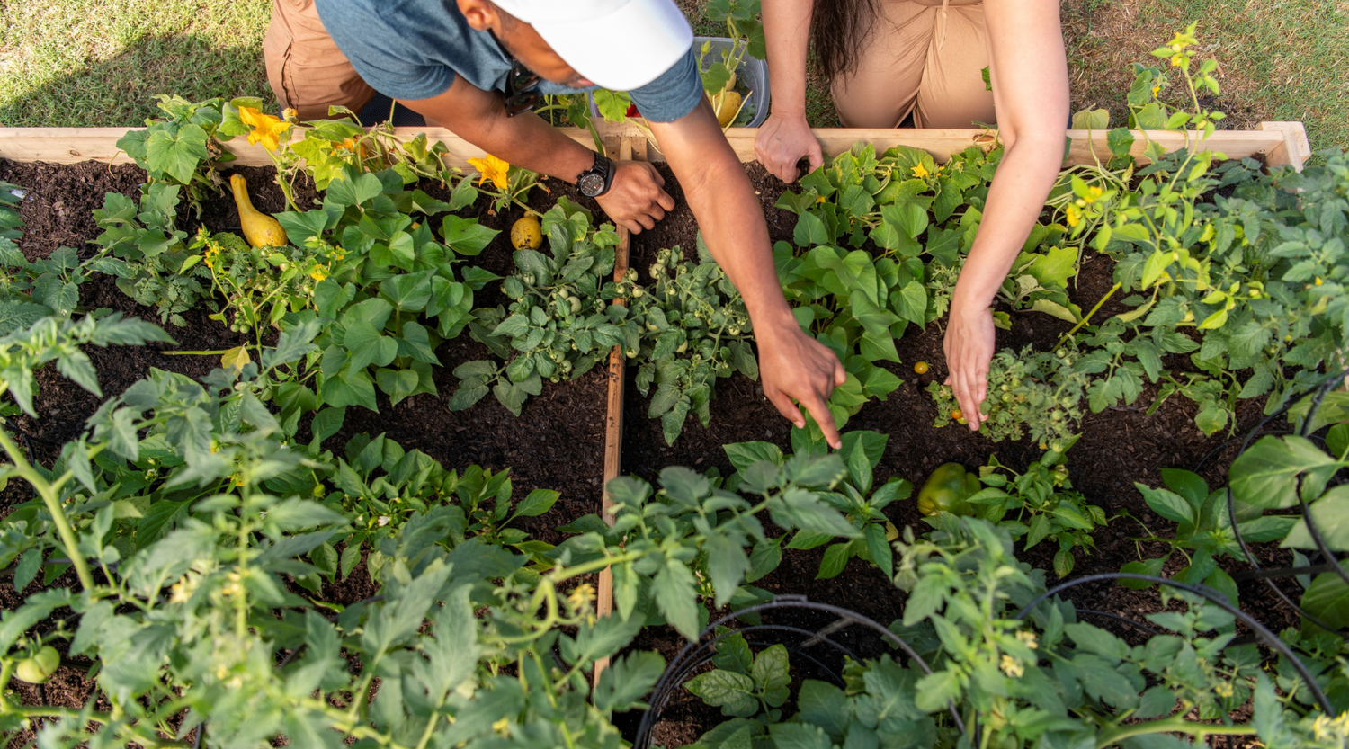 Mix 'n Match Your Way to a Full Garden