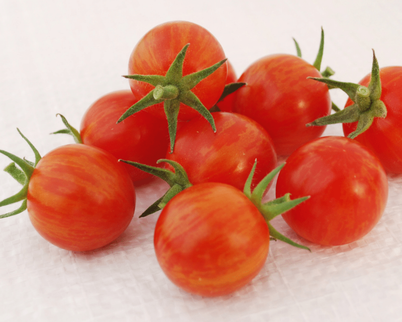Sparky XSL Hybrid Tomato Seeds