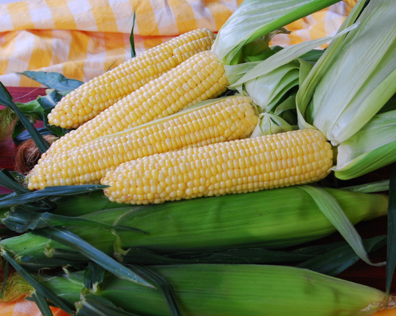 Sugar Buns (yellow se) Hybrid Sweet Corn Seeds