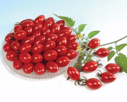 Sugary Hybrid Grape Tomato Seeds