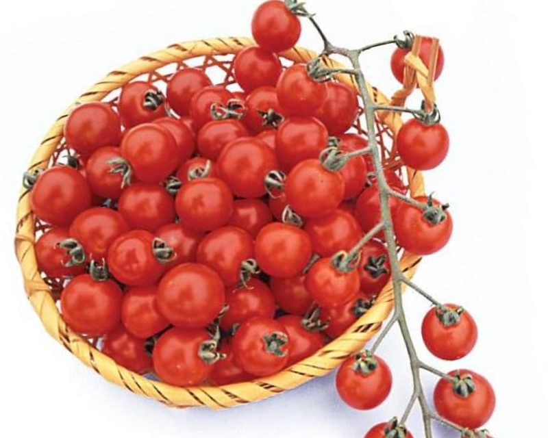 Suncherry RB Hybrid Tomato Seeds
