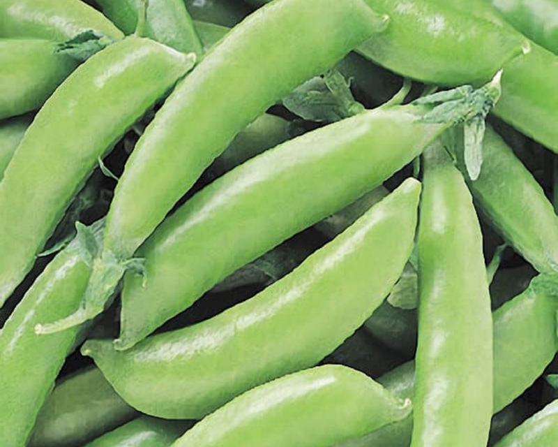 Super Sugar Snap Pea Seeds