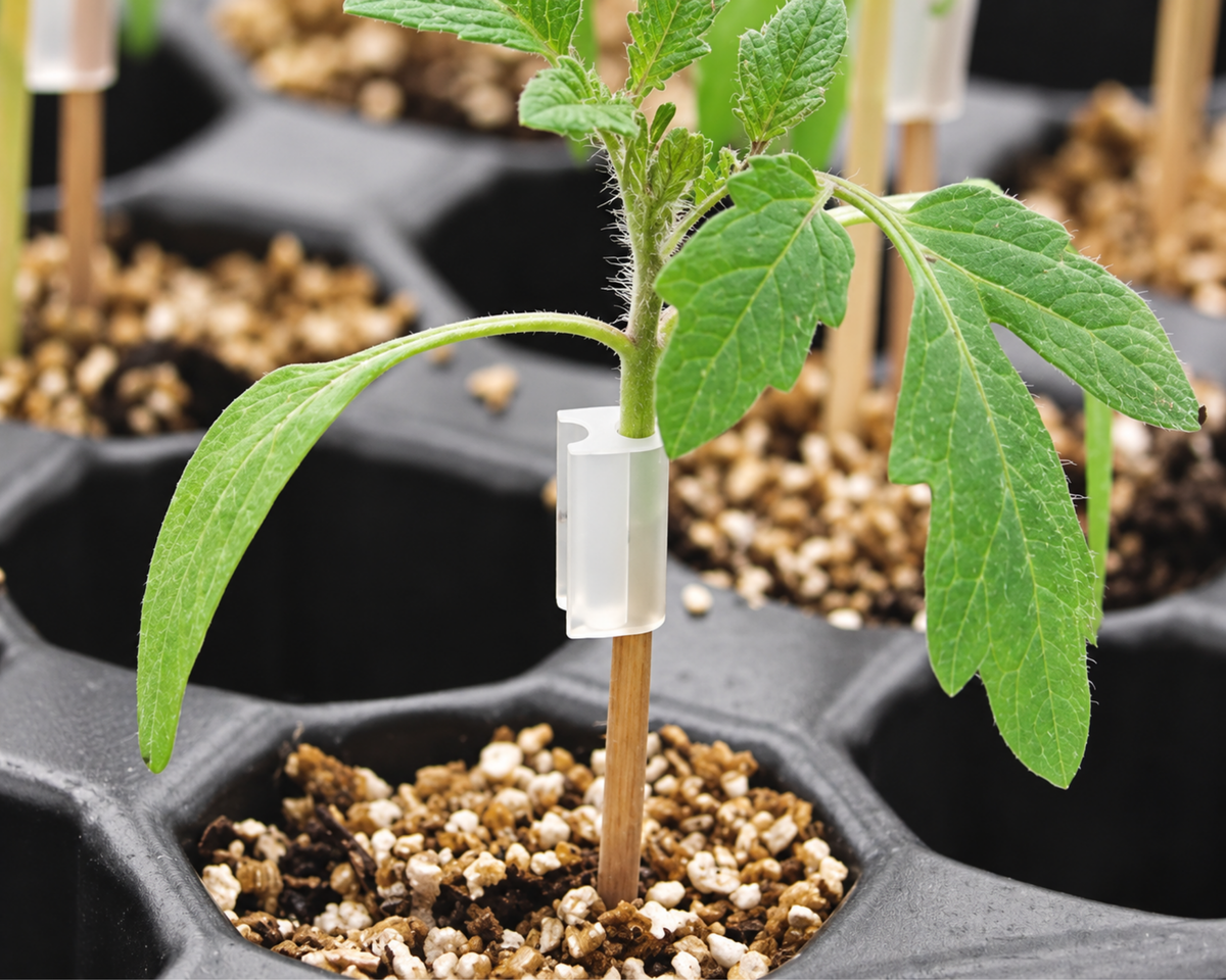 Plant Grafting Clips