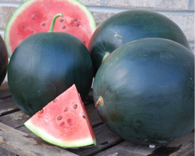 Blacktail Mountain Watermelon Seeds