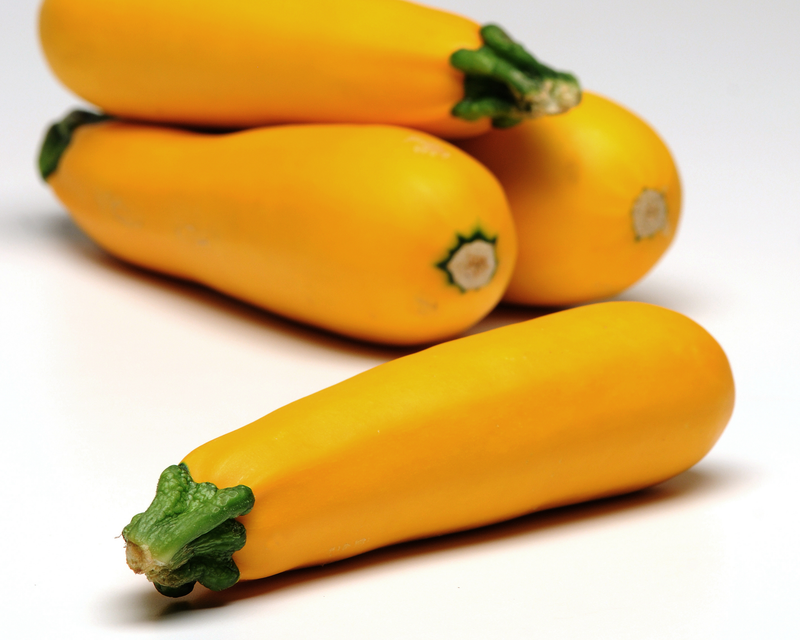 Easy Pick Gold II Hybrid Zucchini Seeds