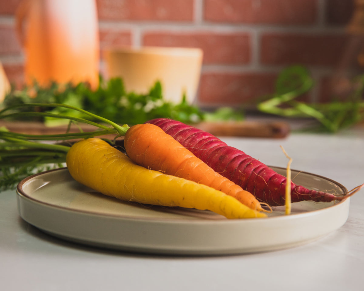 Rainbow Gourmet Mix Carrot Seeds