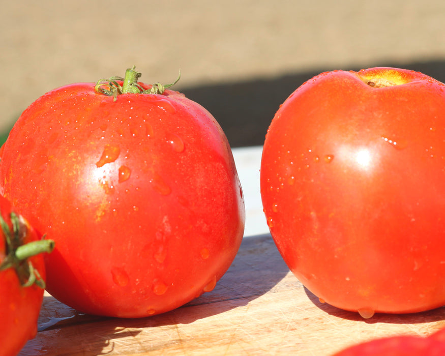 Husky Red Hybrid Tomato Seeds