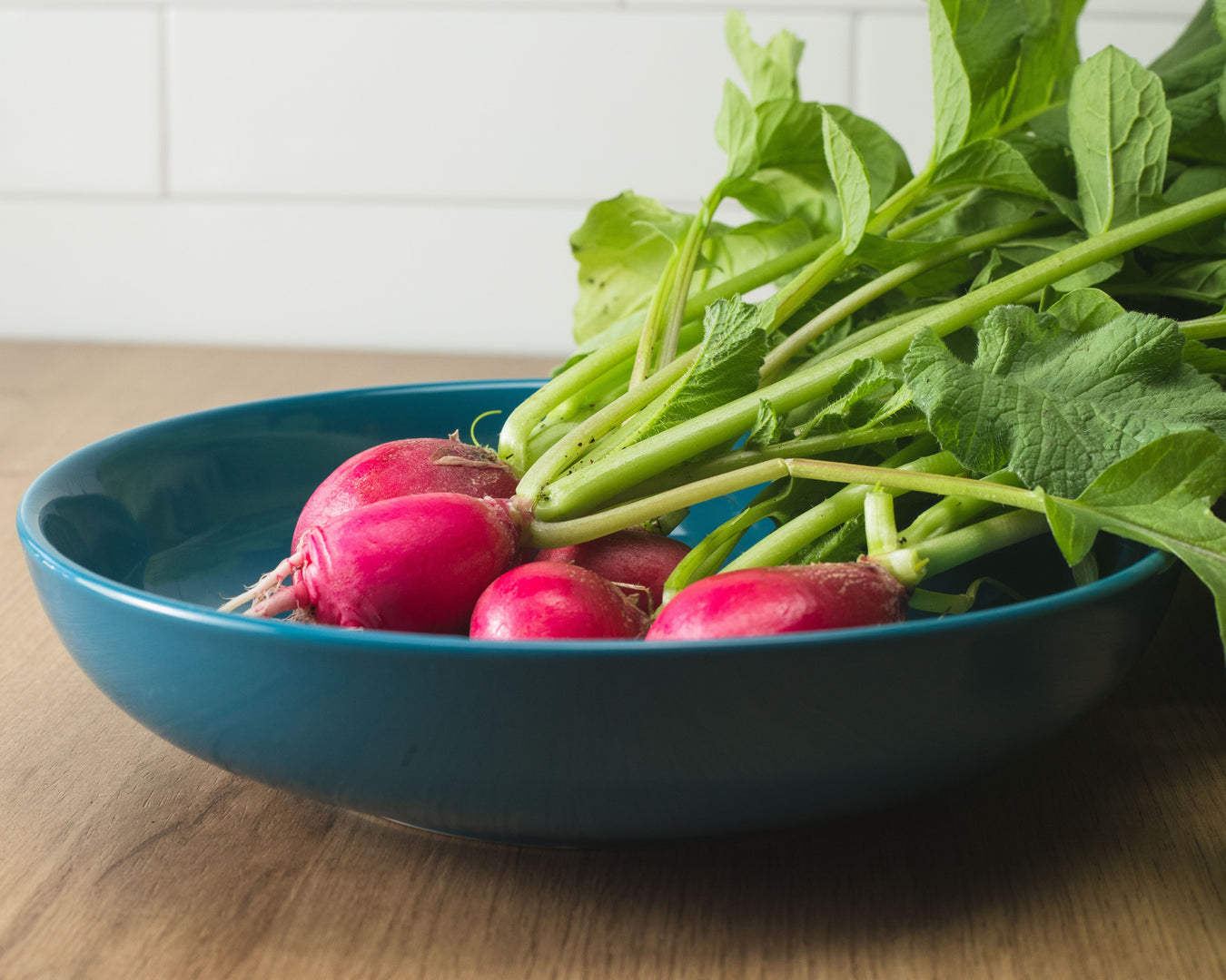 Radishes & Lettuce