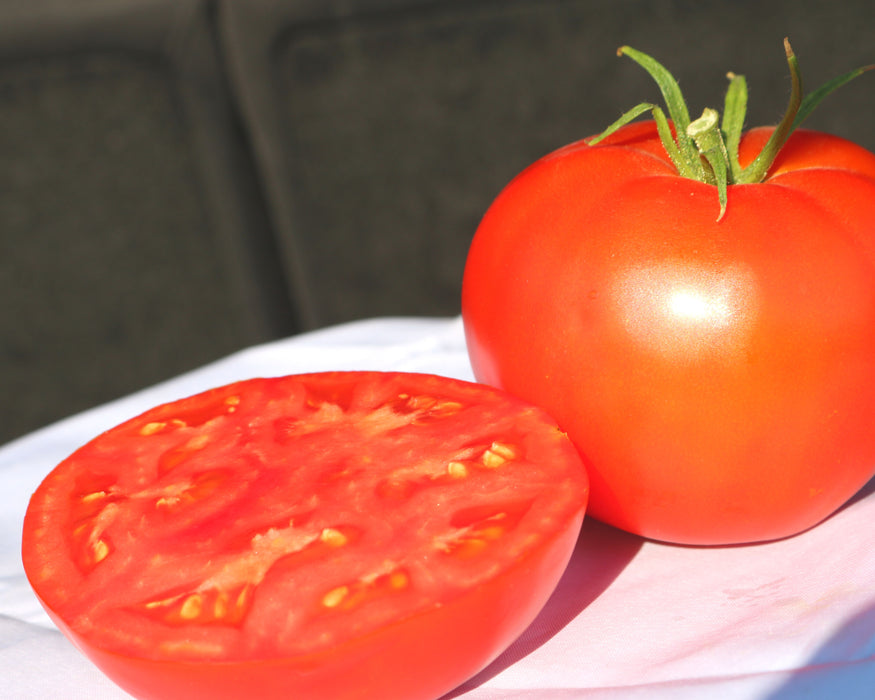 Jet Star Hybrid Tomato