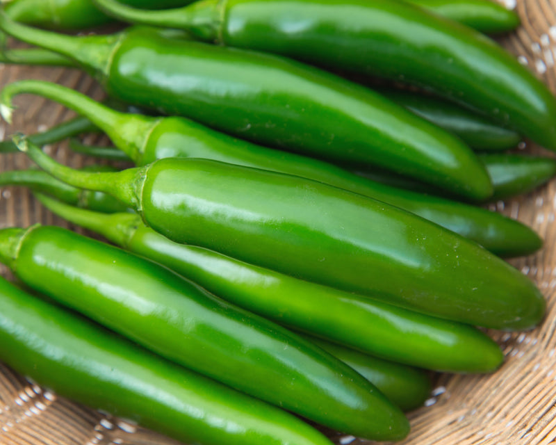 Bulk: Flaming Jade Hybrid Pepper