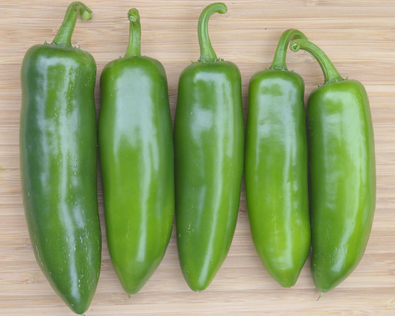 Bulk: Fooled You Jalapeño Hybrid Mild Pepper Seeds
