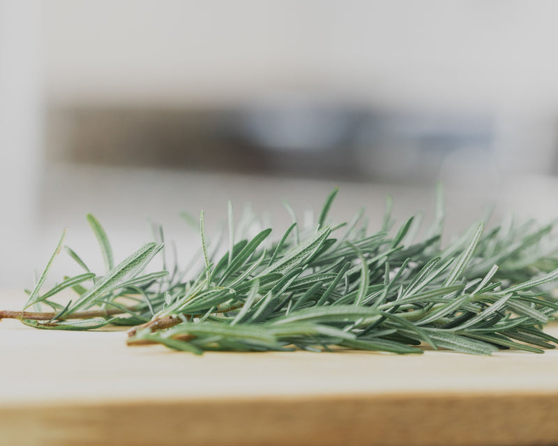 Bulk: Rosemary Seeds