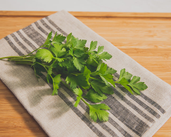 Italian Plain Leaf Parsley Seeds