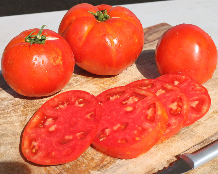 Florida 91 Hybrid Tomato Seeds