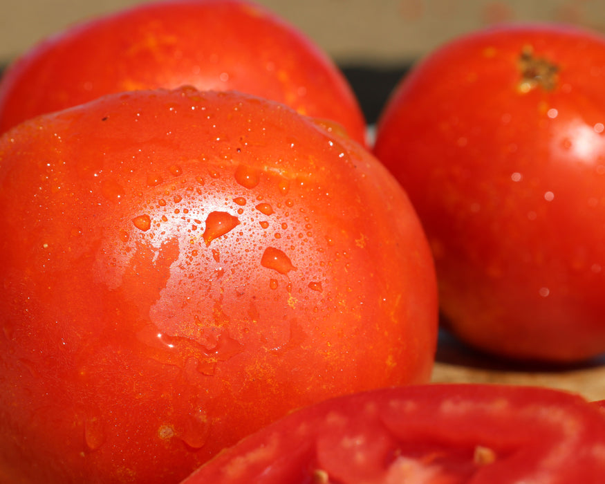 Bulk: Saybrook Hybrid Tomato Seeds