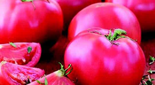 Bradley Tomato Seeds