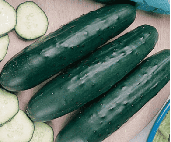 Bulk: Fanfare Hybrid Cucumber Seeds