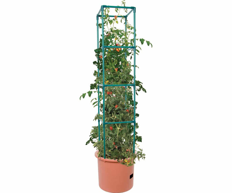 indoor tomato planter Tomato Barrel with 4-ft. Tower — Seeds 'n Such
